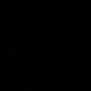 Meet your Posher, Mia